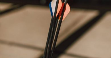 astrakaizodiakaiplanitessimera