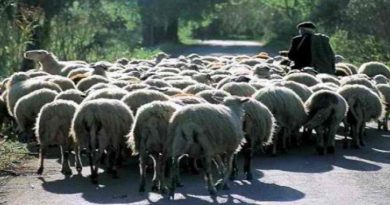 anekdotopontiosvoskos_11zon