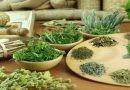 Ποιο αρχαίο βότανο βοηθά στην πρόληψη του καρκίνου, της οστεοπόρωσης και του διαβήτη