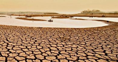 Πρίαμος Ιερωνυμάκης: Πρέπει να παρθούν άμεσα μέτρα για την ξηρασία πριν να είναι πολύ αργά (vid)