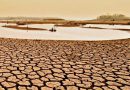 Πρίαμος Ιερωνυμάκης: Πρέπει να παρθούν άμεσα μέτρα για την ξηρασία πριν να είναι πολύ αργά